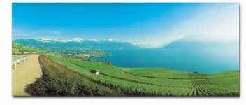 Vevey_on_June